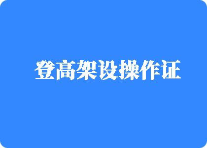 大鸡吧操骚逼网登高架设操作证